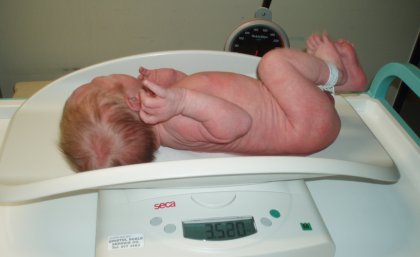 Genes can help explain why some babies have a low birth weight.