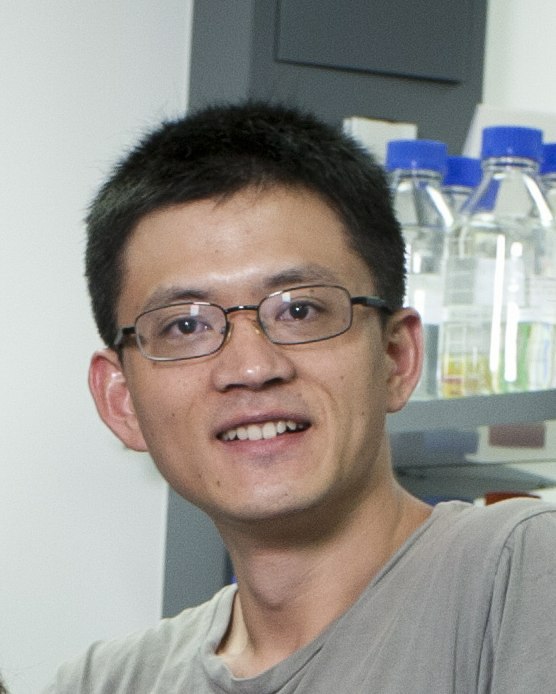 Dr Jian Yang